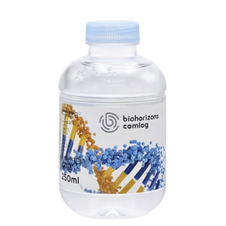 BOTELLA AGUA BARCELONA RPET 25CL - ETIQUETA PAPEL TODO COLOR
